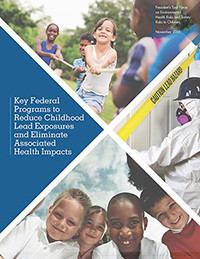 Lead Exposures