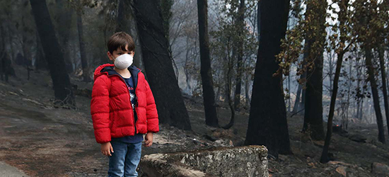 Young child wearing mask standing next to a forest after a fire